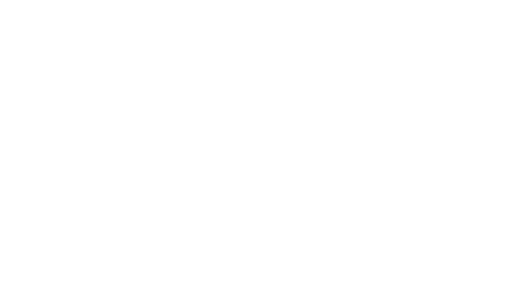 Amir Design inc.